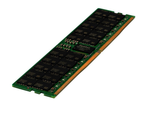 Hewlett Packard Enterprise HPE SmartMemory - DDR5 - module - 32 GB - DIMM 288-pin - 5600 MHz / PC5-44800 - registered