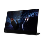 Lenovo ThinkVision M14t 14" 1920 x 1080 (Full HD) DisplayPort USB-C 60Hz Pivot Skærm