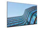 Lenovo ThinkVision E55 LFD - 55" diagonale klasse (54.6" zichtbaar) led-achtergrondverlichting lcd-scherm