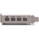 NVIDIA Quadro P620 - Grafikkort - Quadro P620 - 2 GB GDDR5 - PCIe 3.0 x16 lavprofil - 4 x Mini DisplayPort - Adapters Included