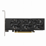 ASUS GeForce RTX 4060 O8G LP BRK