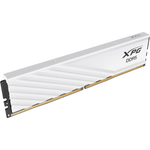 ADATA DIMM 24 GB DDR5-6000, Arbeitsspeicher
