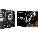 Biostar A620MS, Mainboard