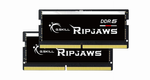 G.Skill Ripjaws F5-4800S3838A16GX2-RS - Geheugen