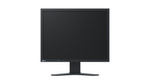 EIZO FlexScan S2133-BK 21.3" monitor