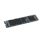256GB Dell PCIe NVME Class 40 2280 SSD, M.2