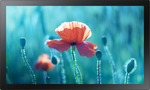 Monitor led 13" Samsung QB13R-TM Edge Full HD 1920x1080p 30ms classe B Nero [LH13QBRTMGCXEN]