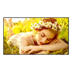 Monitor LG 50UL5Q-E 50" UltraHD 4K 60Hz VA LED WiFi Altavoces Integrados