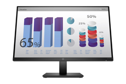 HP P24q G4 60,5 cm (23.8") 2560 x 1440 pixels Quad HD LED Noir