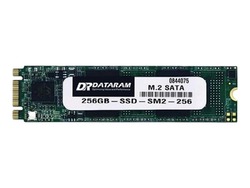 Dataram SSDM2-SATA - solid state drive - 256 GB - SATA 6Gb/s