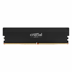 Crucial Pro - DDR5 - module - 16 GB - DIMM 288-pin - 3200 MHz / PC5-51200 - unbuffered