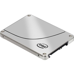 Intel Solid-State Drive DC S3500 Series - 160GB