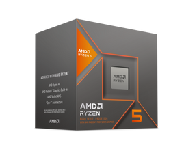 AMD Ryzen 5 8600G Phoenix AM5 (5,1Ghz)
