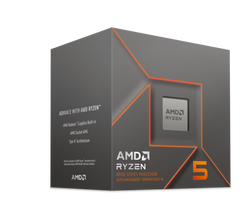 AMD Ryzen 5 8500G Phoenix AM5 (5,1Ghz)