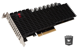 Kingston Technology Datacenter NVMe DCP1000 1.6To SSD - Noir