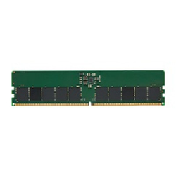 Kingston 16 GB DDR5-4800MT/s ECC Module