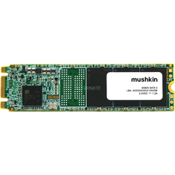 Mushkin Source M.2 256 GB, Unidad de estado sólido