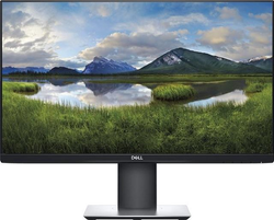 Monitor Dell P2421DC IPS LED QHD (210-AVMG)