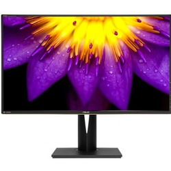 ASUS ProArt PA329Q 32" 4K UHD IPS Monitor