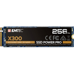 Emtec X300 M.2 SSD Power Pro 256 GB, Solid State Drive