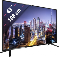 43 Zoll Grundig 43 GFB 5800, 109cm, LED-TV, Webservices