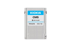Kioxia CM5-V 2.5" 800 GB PCI Express 3.0 3D TLC NVMe