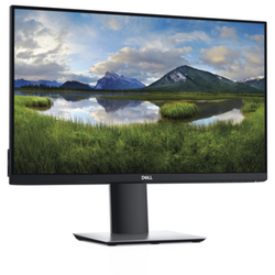 Dell P2421 Generalüberholt, LED-Monitor