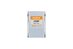 SSD 6.4TB Kioxia CD8P-V 2.5" Argento [KCD8XPUG6T40]