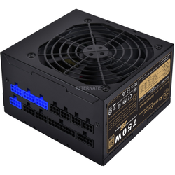 SilverStoneSST-ST75F-GS v3.1 750W, Alimentation PC