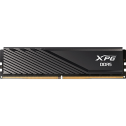 ADATA DIMM 16 GB DDR5-5600 (1x 16 GB), Arbeitsspeicher