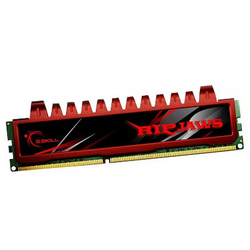 G.Skill DIMM 4 GB DDR3-1066, Arbeitsspeicher