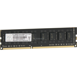 G.Skill 4GB PC3-10600 RAM-modul DDR3 1333 Mhz, Hukommelse