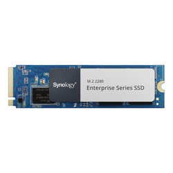 Synology Enterprise Series (SNV5420-1600G)