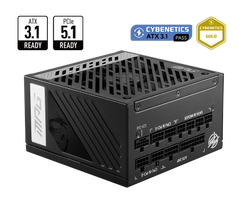 MSI MPG A1000GS PCIE5 - ATX 1000W - 80+ Gold