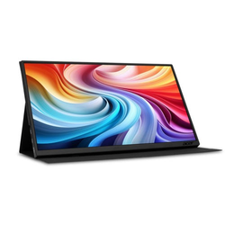 Acer PM1 Draagbare Touch Monitor | PM161QT | Zwart