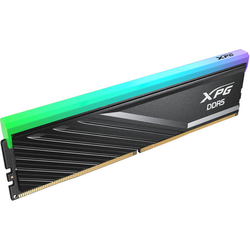 ADATA DIMM 24 GB DDR5-6000, Arbeitsspeicher