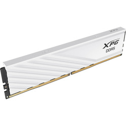 ADATA DIMM 24 GB DDR5-6000, Arbeitsspeicher