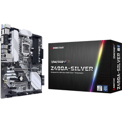 Biostar Z490A-SILVER Ver. 5.0, Placa base