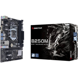Biostar B250 GLAN 2xDDR4 HDMI/VGA, So.1151, mATX (B250MHC)