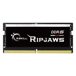 G.Skill Ripjaws F5-4800S3434A16GX1-RS - Geheugen