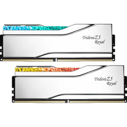 G.Skill F5-8400J4052G24GX2-TR5S, Mémoire vive