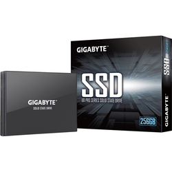 GIGABYTE Disque SSD Interne - UD Pro - 256Go - SATA3 (GP-GSTFS30256GTTD)