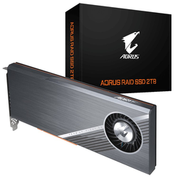 Gigabyte SSD AORUS RAID 2TB GP-ASACNE2200TTTDA