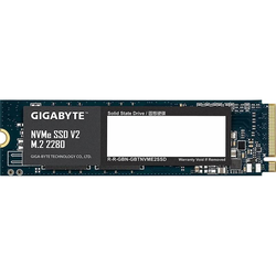 Gigabyte V2 SSD 256 GB (G3NVMEV2256G)