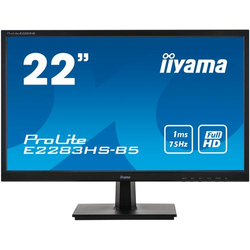 iiyama ProLite E2283HS-B5 22" Monitor Zwart