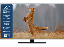 JVC LT-65VU8185 LED TV (65 Zoll / 164 cm, UHD 4K)