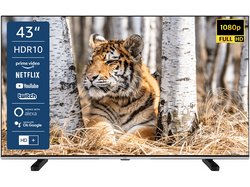 JVC LT-43VFE5155 LED TV (43 Zoll / 108 cm, Full-HD)