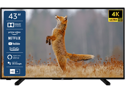 JVC LT-43VU2255 LED TV (43 Zoll / 108 cm, UHD 4K)