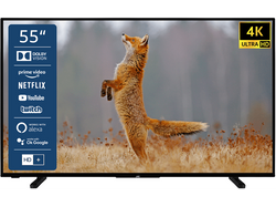 JVC LT-55VU2255 LED TV (55 Zoll / 139 cm, UHD 4K)