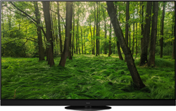 Panasonic TX-65HZ1500E TV 165,1 cm (65") 4K Ultra HD Smart...